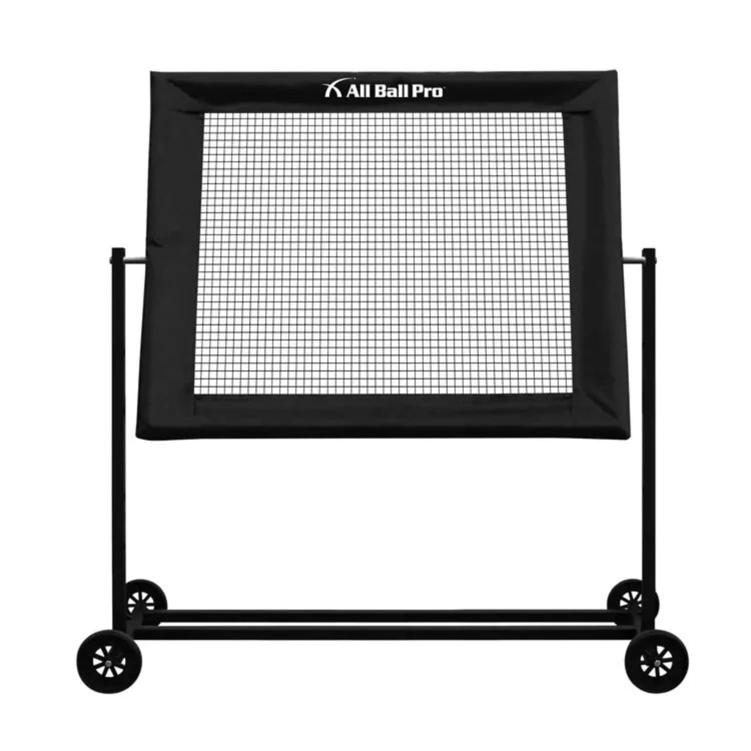 All Ball Pro Premier XL 1
