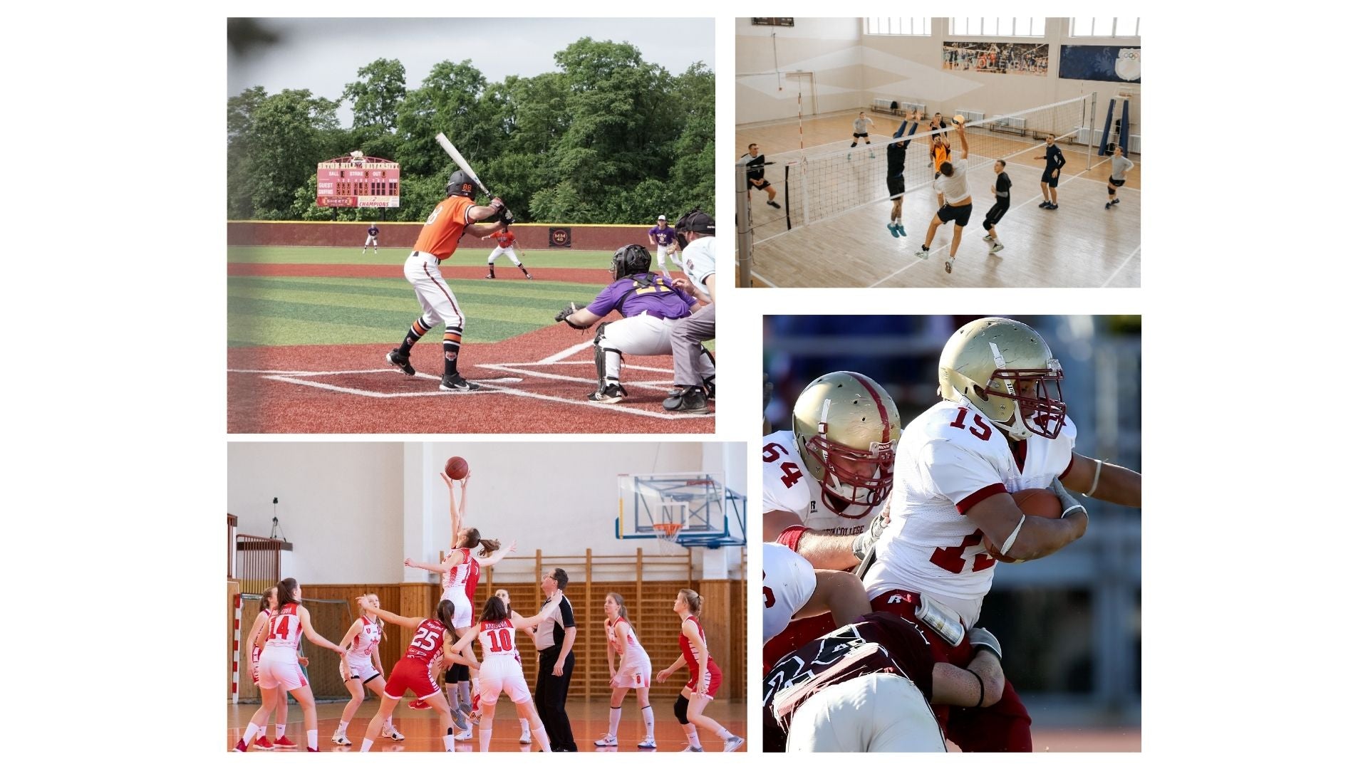 Coach Hub USA- Find all the tools to develop elite athletes